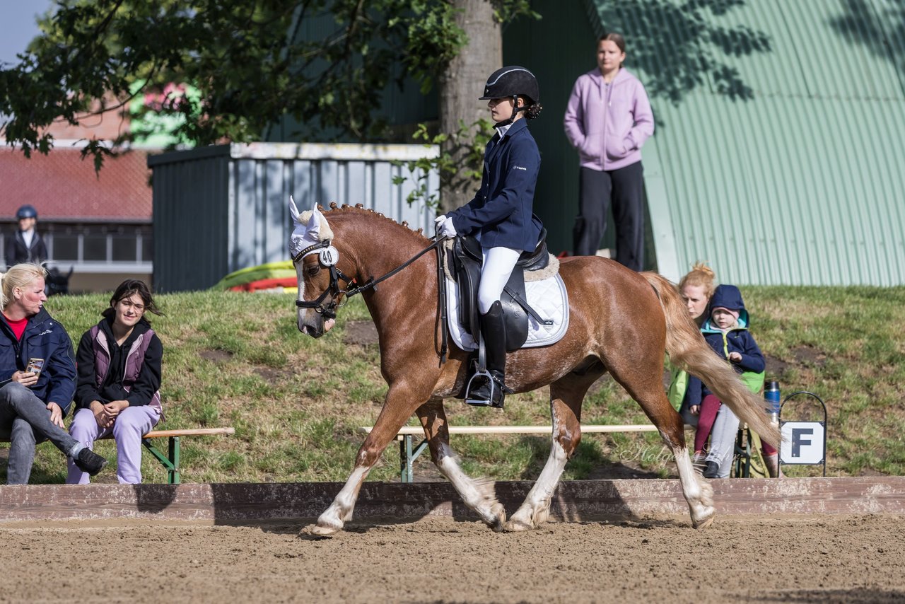 Bild 351 - Pony Akademie Turnier